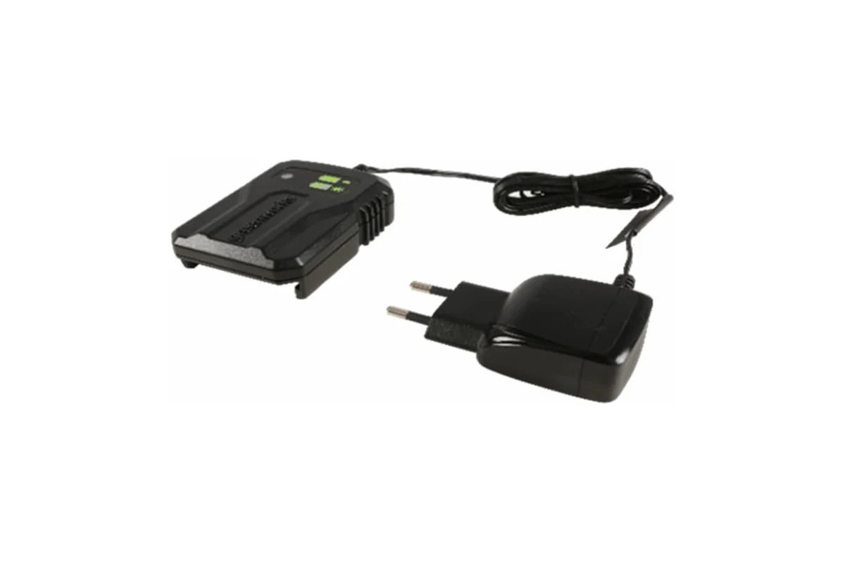 Зарядное устройство Greenworks G40UCM2M, 40V, 2A 2946507